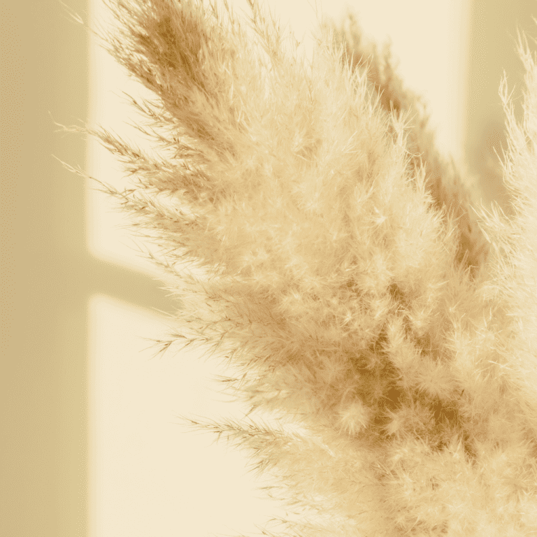 pampas